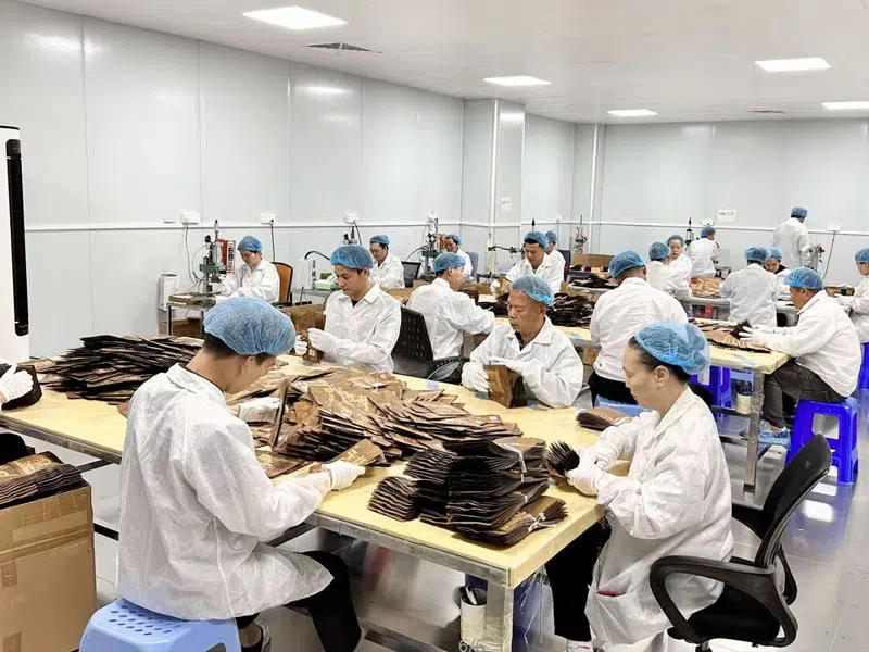 Inspecting_&_packing